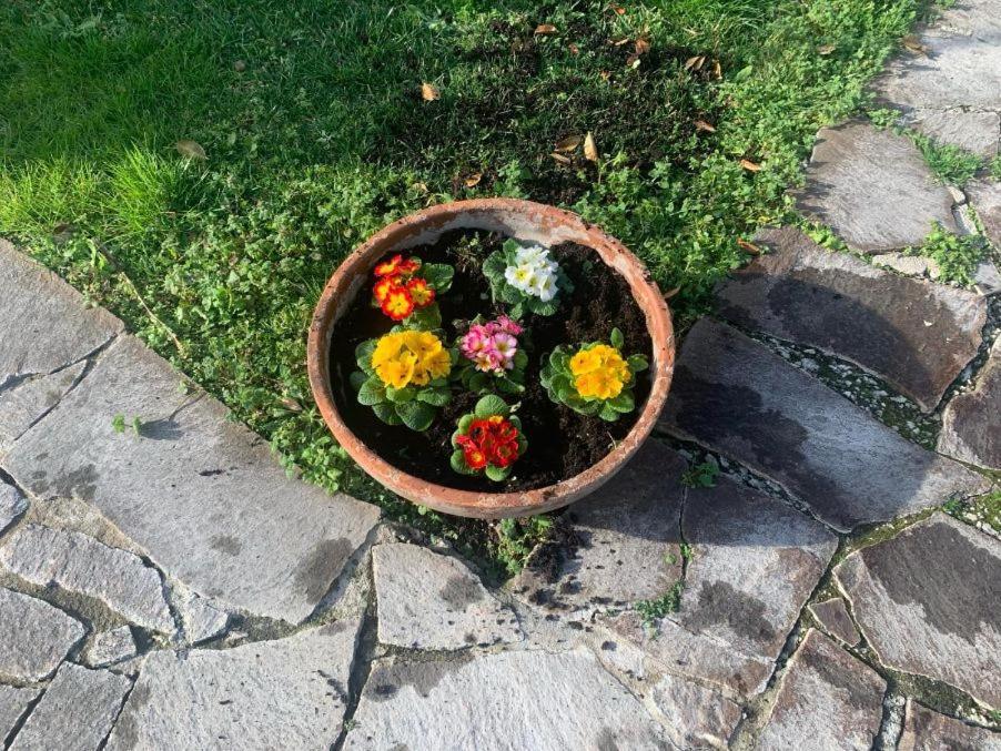 Leupupe Relax Cultura Mare Monti Apartman Cascina Kültér fotó