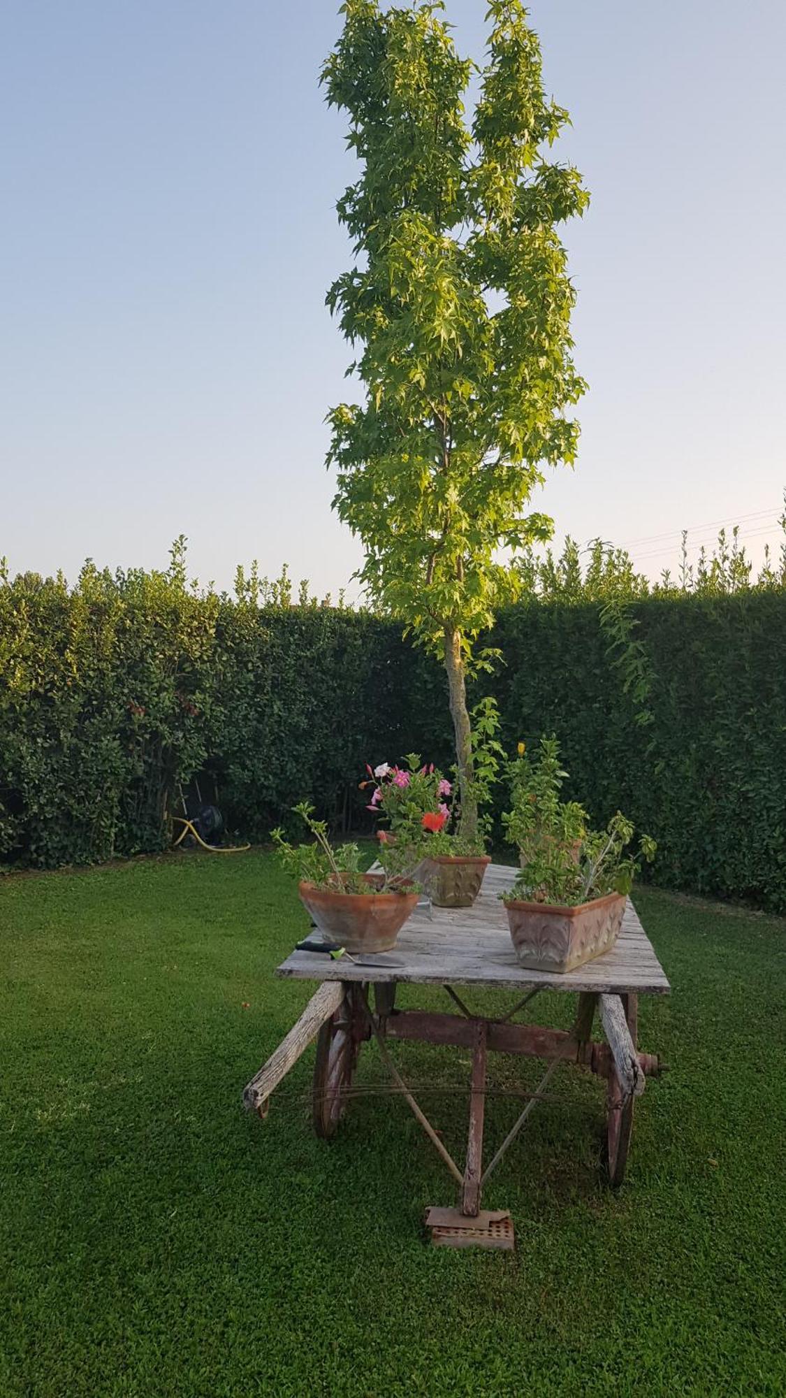 Leupupe Relax Cultura Mare Monti Apartman Cascina Kültér fotó